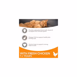 IAMS Complete Dry Cat Food for Adult 1+ Cats with Chicken 10 kg