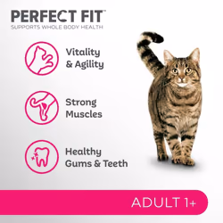 Perfect Fit Adult 1+ Complete Dry Cat Food for Adult Cats Aged 1+ Years, Rich in Chicken, 4 Bags (750 g)