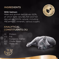 Sheba Classics Cat Food Trays Salmon in Terrine, 85 g (Pack of 22)