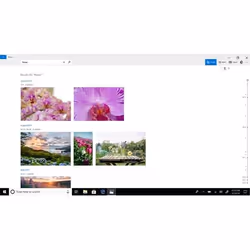 Microsoft Windows 10 Pro 1 license(s)