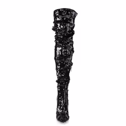 Pleaser Shoes Courtly-3011 Female Black