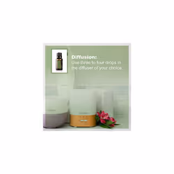 doTERRA TerraShield Essential Oil Repellent/Out Door Blend - Outdoor Protection, Natural Barrier From Insects 15ml