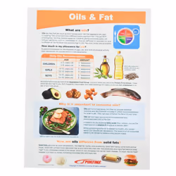 Sportime MyPlate Food & Nutrition Visual Learning Guides  Grade 5 to 9  Set of 10