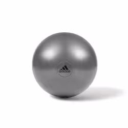 Adidas Exercise Ball Gym Swiss Fitness Workout with Pump - 65cm