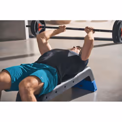 Reebok Deck - Blue Step Platform Aerobic Bench Cardio Stepper