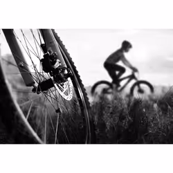 Clarks Shimano VX811C Organic Disc Brake Pad