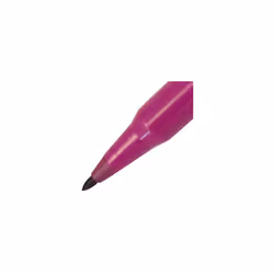 Pentel Arts Colour Pen (Pack of 12)