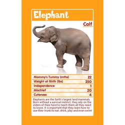 Top Trumps  Cards - Baby Animals (18)