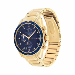 Tommy Hilfiger Men's Qtz Multifunction Stainless Steel and Bracelet Casual Watch  Color: Gold (Model: 1791834)
