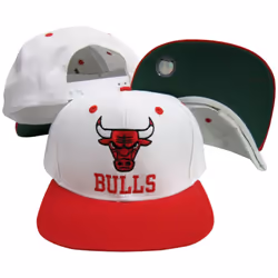 Chicago Bulls Word White/Red Two Tone Plastic Snapback Adjustable Plas