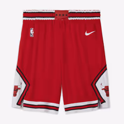 Nike AJ5593-657, Male, Adult, L, 1 pc(s)