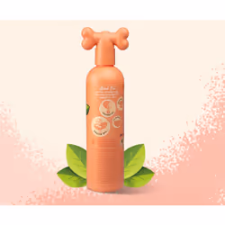 Pet Head Quick Fix 300 ml Dog 2-in-1 Shampoo & Conditioner