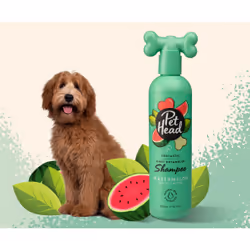 Pet Head Furtastic 300 ml Dog Shampoo