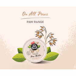 Pet Head On All Paws Paw Butter Balm - Additional view 3
