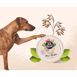 Pet Head On All Paws Paw Butter Balm - Additional view 4