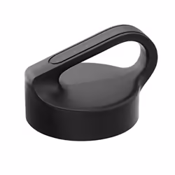 CamelBak Carry Cap Bottle - Vacuum Insulated Stainless Steel - Easy Carry  32oz  Larkspur