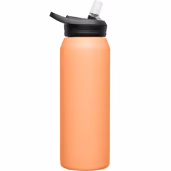 CamelBak Eddy+ 32oz Water Bottle with Straw in Desert Sunrise Stainless Steel