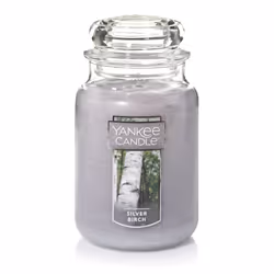 Yankee Candle Silver Birch Scented Classic 22oz Large Jar Single Wick Aromatherapy Candle Over 110 Hours of Burn Time Apot ...