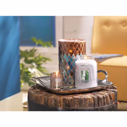 Yankee Candle Silver Birch Scented  Classic 22oz Large Jar Single Wick Aromatherapy Candle  Over 110 Hours of Burn Time  Apothecary Jar Fall Candle  A