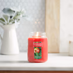 Yankee Candle Macintosh Scented  Classic 22oz Large Jar Single Wick Candle  Over 110 Hours of Burn Time