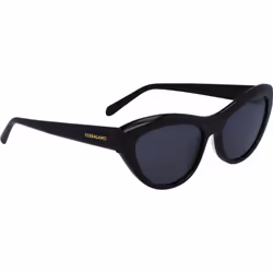 Salvatore Ferragamo SF1103S-5517001 SF1103S 55 5517001 Sunglasses