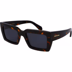 Salvatore Ferragamo SF1108S-5421242 SF1108S 54 5421242 Sunglasses
