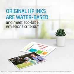 HP 10 Black Original Ink Cartridge