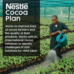 Nestle Rich Chocolate Flavor - 50 Packets