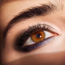 Pure Color Envy eyeshadow quads #indigo night