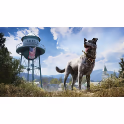 Ubisoft Far Cry 5: Standard Edition, PS4 English PlayStation 4