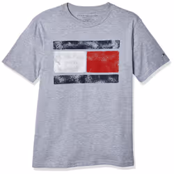 Tommy Hilfiger Boys Short Sleeve graphic crew Neck T-Shirt grey Heather 20