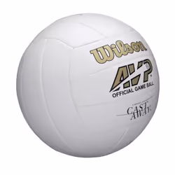 WILSON Cast Away Mini Volleyball - White  Durable 18-Panel Synthetic Material Cover  Ideal Size for Display
