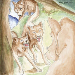 ImportCDs Wolf of the Cosmos CD Americana