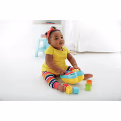 Fisher-Price Everything Baby Butterfly Shape Sorter
