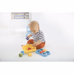 Fisher-Price Everything Baby Butterfly Shape Sorter