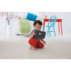 Fisher-Price Laugh & Learn CDG56 children's gadget Children's tablet