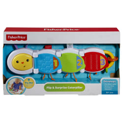 Fisher-Price Everything Baby DHW14 learning toy