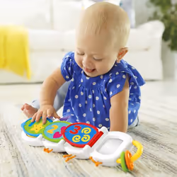 Fisher-Price Everything Baby DHW14 learning toy