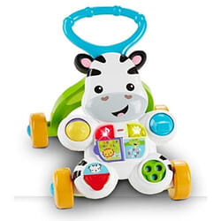 Mattel DLD91 push & pull toy