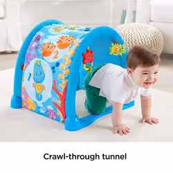 Fisher-Price Kick 'n Crawl Musical Seahorse Gym