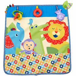 Fisher-Price On-the-Go Activity Throw