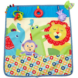Fisher-Price On-the-Go Activity Throw