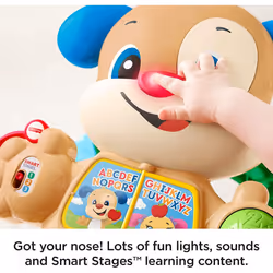 Fisher-Price Laugh & Learn Smart Stages Learn with Puppy Walker FHY94
