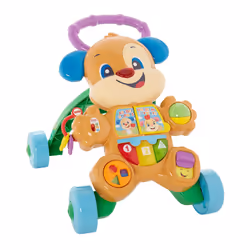 Fisher-Price FRC84 learning toy