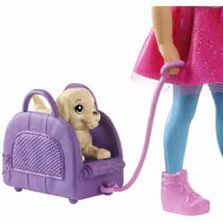 Barbie Dreamhouse Adventures Doll and Accessories
