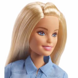 Barbie Dreamhouse Adventures Doll & Accessories