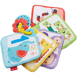 FXB92 Fisher Price 1-to-5 Learning Cards