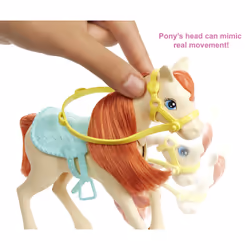 Barbie Dolls, Horses and Accessories - Additional view 8
