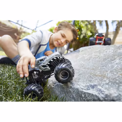Hot Wheels Monster Trucks Oversized Assortment