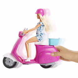 Barbie Doll and Accessory